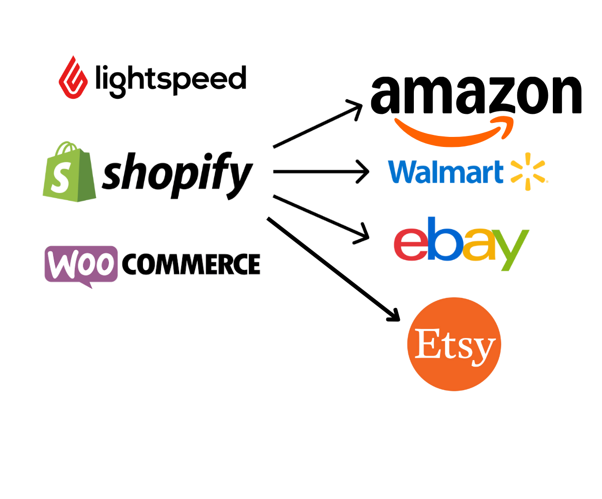 webdesignevada1 (5)